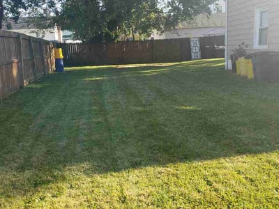 Lawn Care service in Trenton, 08608