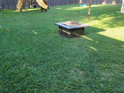 Lawn Care service in Summerlin, 89134