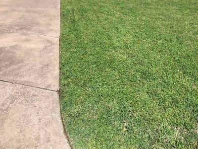 Lawn Care service in Collinsville, 74021