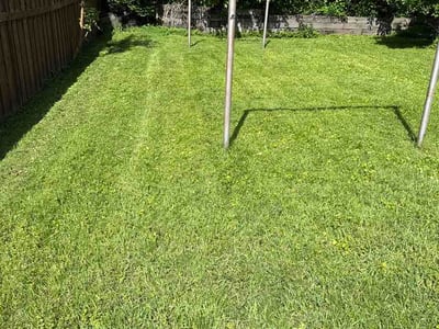 Lawn Care service in Zimmerman, 55398