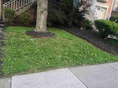 Lawn Care service in Woodbridge, 22191