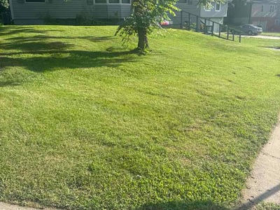 Lawn Care service in Blue Springs, 64015