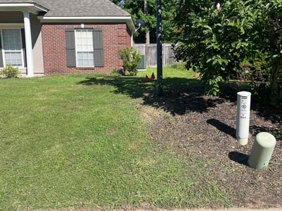Lawn Care service in Pearl, 39208