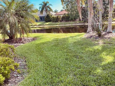 Lawn Care service in Sarasota, 34236