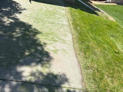Lawn Care service in Paradise, 89119