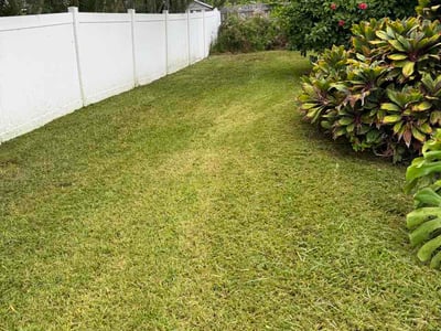 Lawn Care service in Gibsonton, 33534