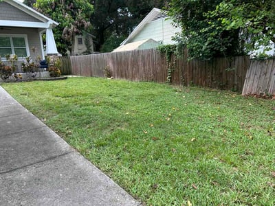 Lawn Care service in Citrus Park, 33625