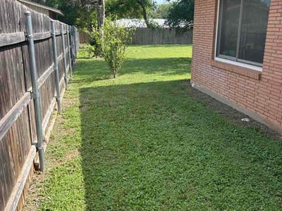 Lawn Care service in Selma, 78154