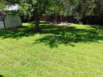 Lawn Care service in McAllen, 78504