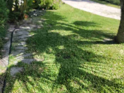 Lawn Care service in Davie, 33328