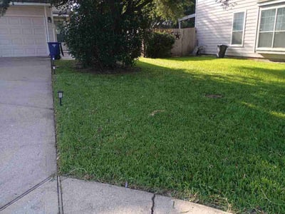Lawn Care service in Dickinson, 77539