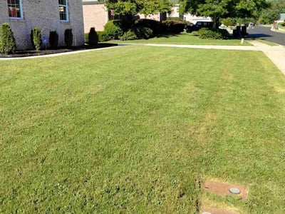 Lawn Care service in Loganville, 30052