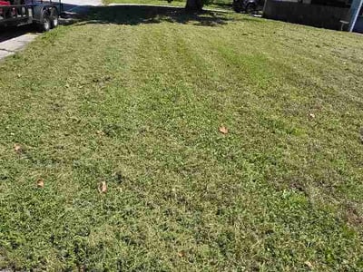 Lawn Care service in Melbourne, 32901