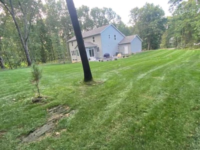 Lawn Care service in Rockford, 49341