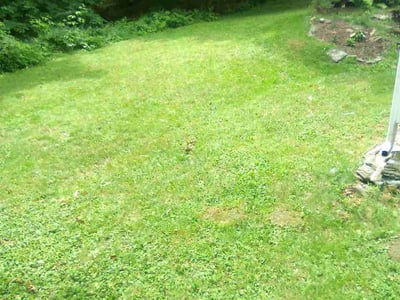Lawn Care service in Spencer, 01562