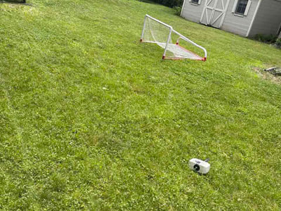 Lawn Care service in Spencer, 01562