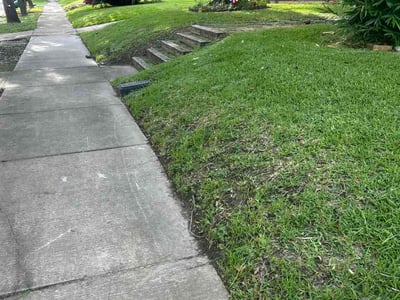 Lawn Care service in Rosenberg, 77471