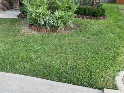 Lawn Care service in Galveston, 77550