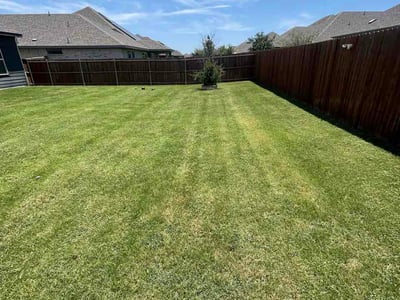 Lawn Care service in Haslet, 76052