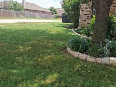 Lawn Care service in Haslet, 76052