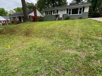 Lawn Care service in Chevy Chase, 20815