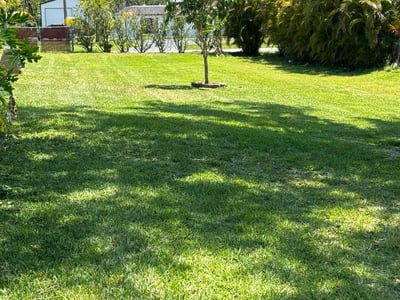 Lawn Care service in Fort Myers, 33901