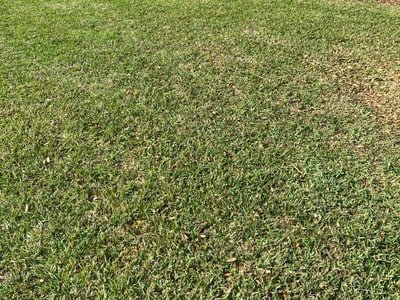 Lawn Care service in Miami Gardens, 33056