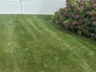 Lawn Care service in Worcester, 01608