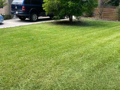 Lawn Care service in Groton, 06340
