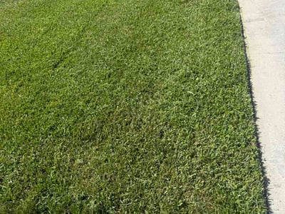 Lawn Care service in Sunrise, 33322