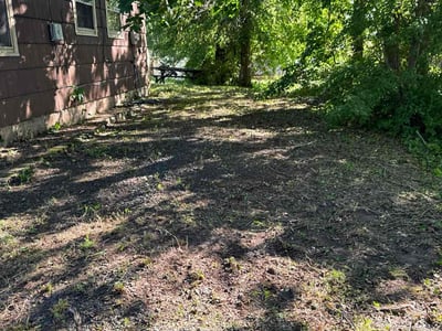 Lawn Care service in Wallingford, 06492