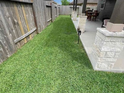 Lawn Care service in New Haven County, 06471