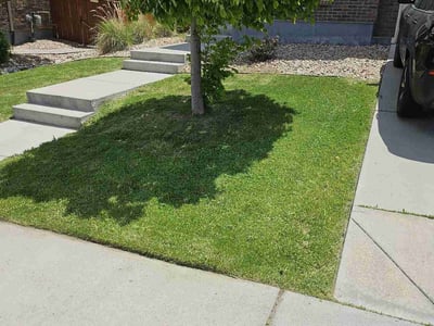 Lawn Care service in Westport, 06880