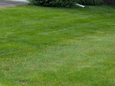 Lawn Care service in Twin Cities, 55406