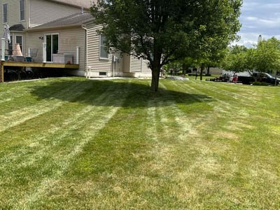 Lawn Care service in Grove City, 43123