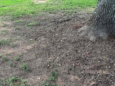 Lawn Care service in Watsonville, 95076