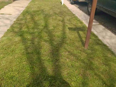 Lawn Care service in Branford, 06405