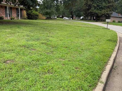 Lawn Care service in Arroyo Grande, 93420