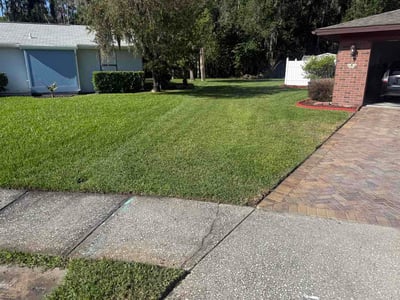 Lawn Care service in Oldsmar, 34677