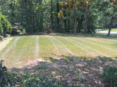 Lawn Care service in Lenoir, 28645