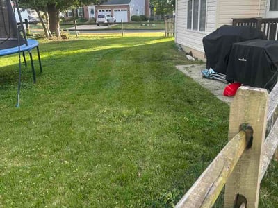 Lawn Care service in Suitland, 20746