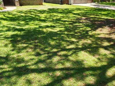 Lawn Care service in Navarre, 32566