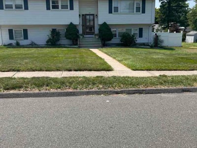 Lawn Care service in Wethersfield, 06109
