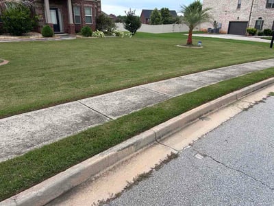 Lawn Care service in Wethersfield, 06109