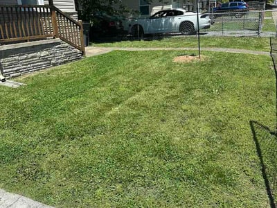 Lawn Care service in Rogersville, 37857
