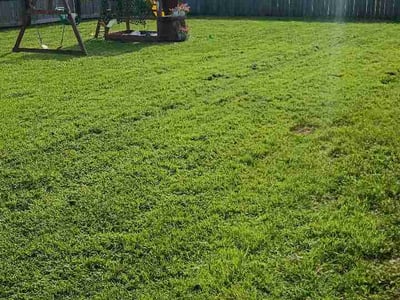 Lawn Care service in Fairhope, 36532