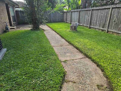Lawn Care service in Sugar Land, 77479