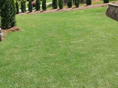 Lawn Care service in Columbus, 31901
