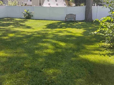 Lawn Care service in West Springfield, 01089