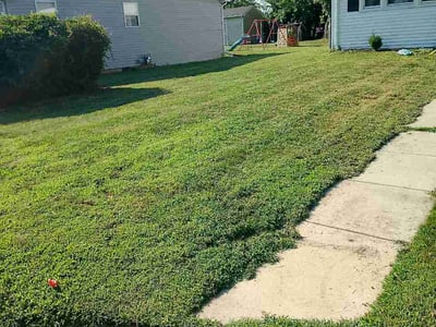 Lawn Care service in Elkton, 21921